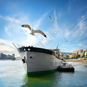 布达佩斯的船图片