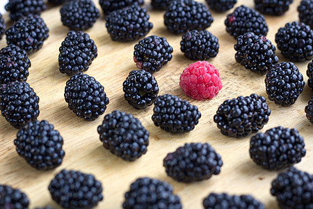 美味多汁的浆果 混合许多黑莓和一份草莓图片
