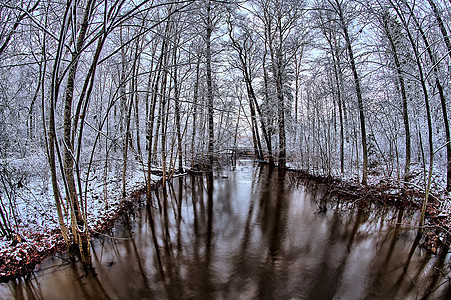 棕河下雪天空流动冷冻树木温度棕色旅行季节森林图片