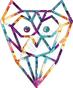 多彩主题猫头鹰比尔钻石身体艺术彩虹背景图片