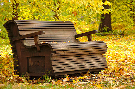 在美丽的秋天公园的老木板凳上 周围有很多金叶子落下的树叶图片