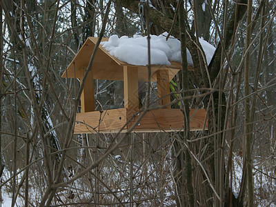 木鸟饲料器森林公园树木房子季节木头白色天空图片