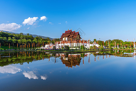 在泰国清迈清迈的皇家佛罗拉特查普鲁克文化地标旅行纪念碑植物群吉祥物旅游展示建筑学植物图片