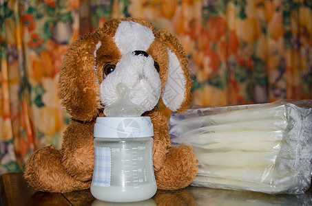 装有新鲜鲜奶 储存袋中冷冻的母乳和软玩具狗的婴儿小瓶子图片