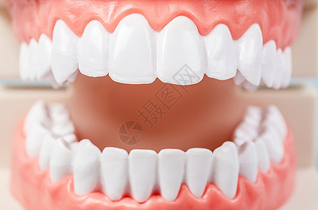口牙牙医学生学习教学 (a) 牙科牙科图片
