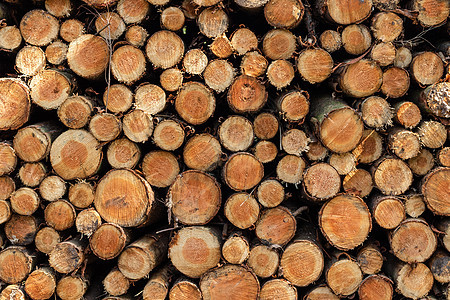 木材原木堆积模式柴堆库存材料壁炉乡村日志记录森林团体圆圈图片