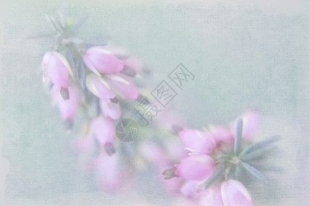 小粉红色花朵 绿色的 隐形背景与防弹衣图片