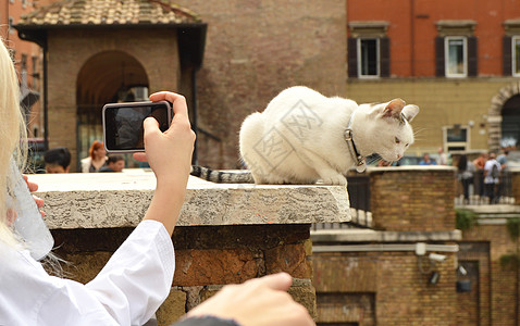 2018年10月7日 意大利罗马 女孩在阿根廷广场拍摄她的智能手机可爱白猫照片图片