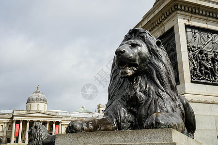 伦敦特拉法尔加尔广场的狮子雕像英语纪念碑地标城市广场景观首都动物艺术建筑学图片
