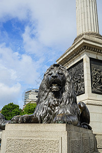 伦敦特拉法尔加尔广场的狮子雕像正方形英语吸引力地标王国旅行建筑学旅游首都纪念碑图片