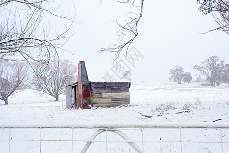 在下雪的农村风景中的Ramshakkle 生锈小屋图片