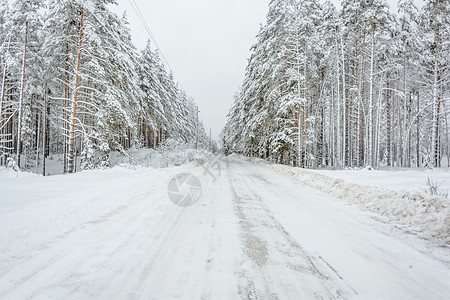 冬季道路 树木 雪日分支机构季节树林松树天气云杉森林积雪图片