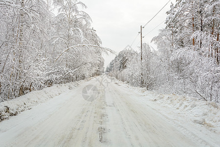 冬季道路 树木 雪日天气阳光森林电线分支机构季节积雪电线杆云杉松树背景图片