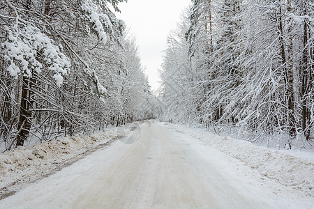 冬季道路 树木 雪日松树积雪季节云杉树林阴天分支机构天气森林背景图片