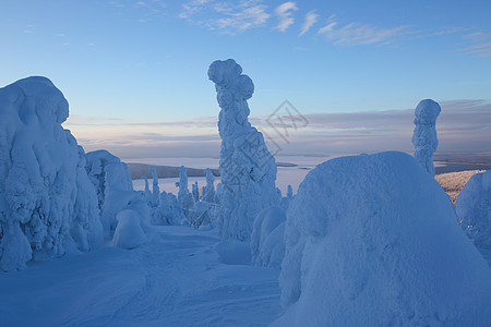 冬季芬兰拉普兰日落森林童话假期天空蓝色环境旅行国家高山图片