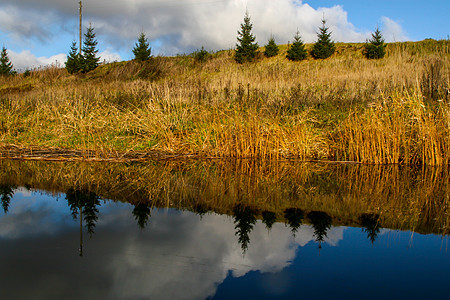 秋天风景布满多彩的树木 黄草和河流木头旅游公园生态反射分支机构池塘蓝色涟漪云杉图片