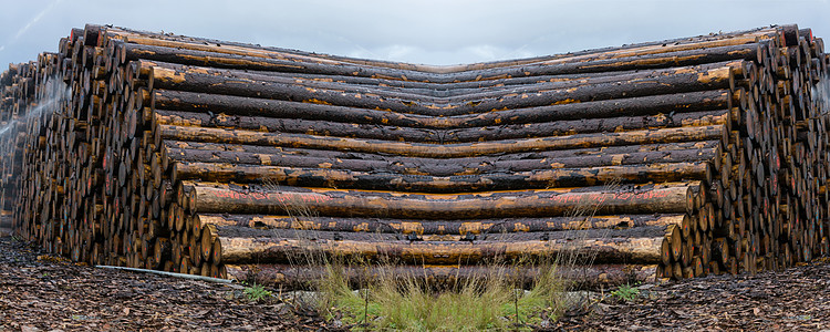 堆在木材储存场的木柴季节大自然农业硬木贮存架子库存森林能源环境问题图片