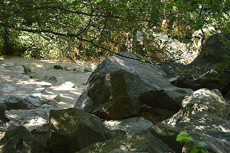 林道沿线树丛茂密的大块石头图片