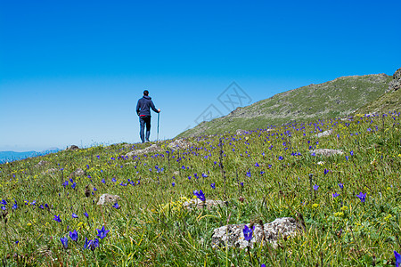 年轻人去远游团体假期旅游爬坡远足者山脉草地冒险踪迹游客图片