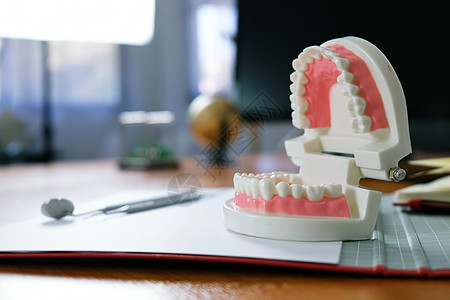 白色健康牙齿与牙科模型在口腔保健 conce图片