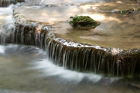 雨林中的瀑布森林植物叶子岩石旅行荒野丛林林地公园热带图片