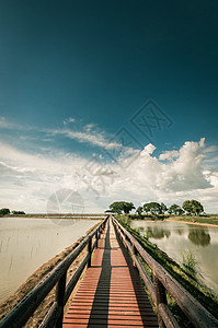 蓝色天空地貌的浮龙桥码头日落木头木桥浮桥旅游土壤商业港口日出图片