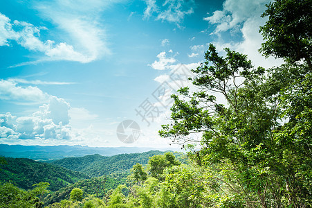 山绿色森林和云彩sk风景天气气候天堂多云艺术白色云景自由蓝色天空图片