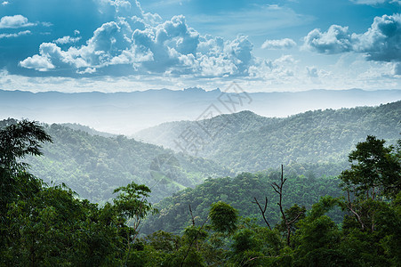 山绿色森林和云彩sk风景荒野天气天堂云景艺术自由气候白色蓝色多云图片