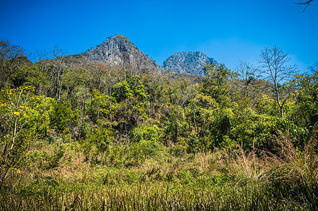 Doi Luang 清道自然公园景观山娱乐天空森林叶子蓝色小路土井石头街道公园图片