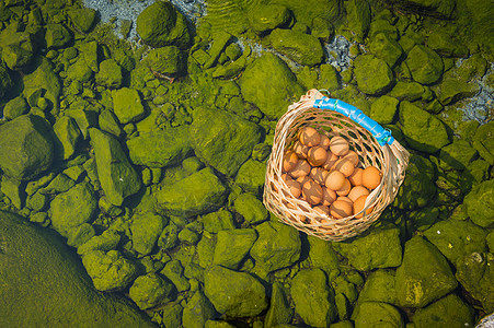 温泉煮鸡蛋 在泰国出差旅行池塘食物世界岩石公园温泉篮子木头活动蒸汽图片