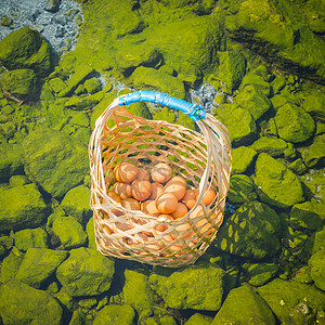 温泉煮鸡蛋 在泰国出差旅行食物活动岩石世界公园温泉池塘卫生石头蒸汽图片