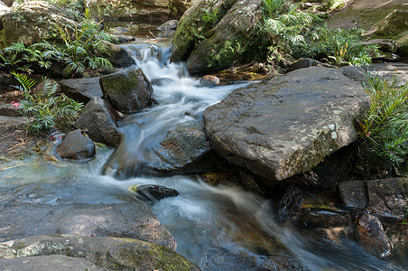 森林瀑布的封闭木头森林绿色旅行瀑布岩石流动溪流叶子运动图片