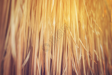 干草草的图案背景乡村黄色叶子热带植物棕色芦苇稻草木头图片