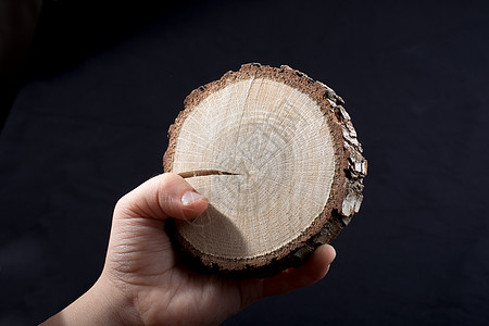 韩版小截木原木树桩日志林业木头木件库存裂缝松树环境戒指图片