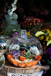 玻璃花壶 里面有美丽的假花花朵花盆绿色植物学植物植物群黄色图片