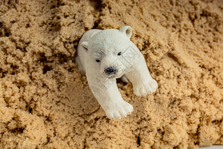 沙砂北极熊模型小熊脊椎动物濒危幼兽环境捕食者野生动物生存荒野哺乳动物图片