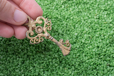 绿色 san 上的复古风格钥匙插图宝藏财富黄铜入口解决方案储蓄商业金属安全图片