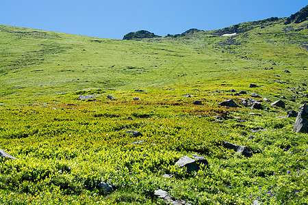 夏季山区的绿草牧场夏季爬坡森林季节植物高地风景乡村绿色天空晴天图片