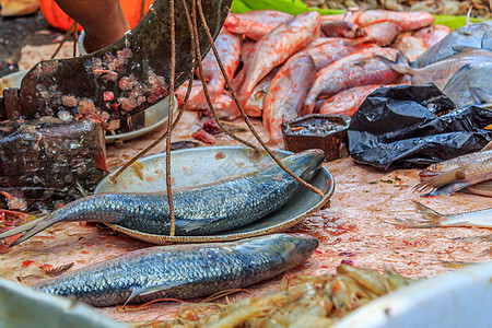 印度西孟加拉邦加尔各答科利市场区街头市场的鱼动物零售展示商业美食海鲜市场商店篮子海洋图片