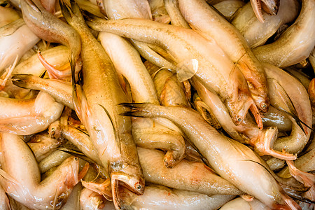 印度西孟加拉邦加尔各答科利市场区街头市场的鱼烹饪食物野生动物海洋午餐零售市场动物商店旅行图片