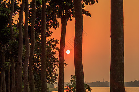透过树线的朦胧日落 傍晚的阳光照明 印度农村城市的黄金时段视图 自然风光摄影图片