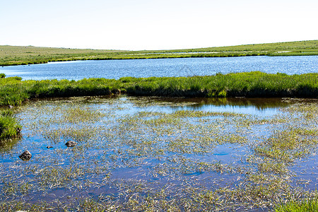 位于阿尔特文的绿色自然背景高地湖火鸡山脉天空晴天旅游国家假期全景村庄蓝色图片
