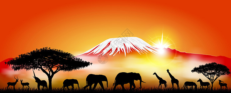 乞力马扎罗山背景上的草原动物牧场山峰火山旅游天空辐射太阳光插图晴天雪峰图片