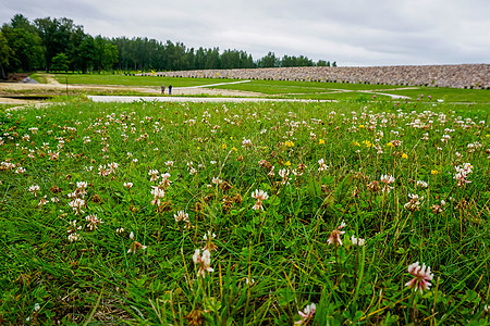 Koknese的石头和草地 位于Destities公园花园场景天空城市岩石阳光木头历史旅游环境三叶草图片