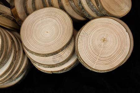 小块切木原木戒指植物学砍伐木材木工园艺木片季节生物学森林图片