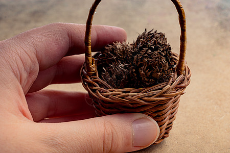 手手里握着一篮子柳条礼物锥体稻草野餐购物手工业工艺传统手工背景图片