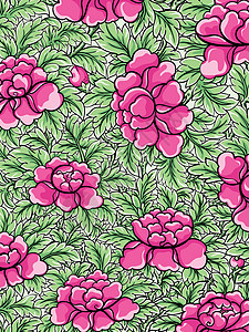 花植物玫瑰年度粉色花瓣玫瑰花生长艺术棉布插图图片