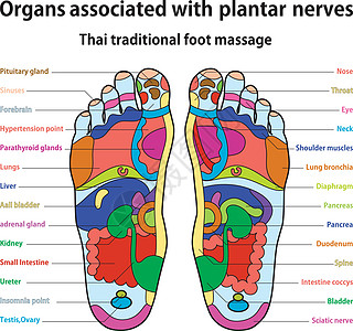 脚按摩医疗理疗肌肉图片