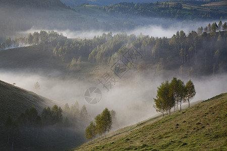 罗马尼亚萨尔西乌亚山丘的浓雾的夏季风景日出场景假期农村蓝色季节国家天空旅行森林图片