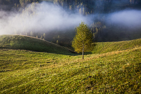 罗马尼亚萨尔西乌亚山丘的浓雾的夏季风景日落农村顶峰冒险太阳旅游假期场景爬坡薄雾图片